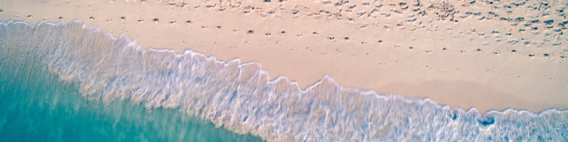 aerial_shoreline_cropped